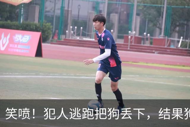 笑喷！犯人逃跑把狗丢下，结果狗狗领着警察就把他抓了...